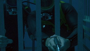 Flipper Season 1 Ep.18 18. epizód
