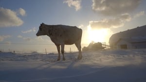 Le plancher des vaches háttérkép