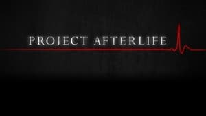 Project Afterlife kép