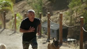 Cesar Millan: Jó gazdi, jó kutya 1. évad Ep.3 3. epizód