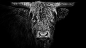Tierisch fotogen 1. évad Ep.1 1. epizód