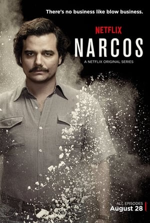 Narcos poszter