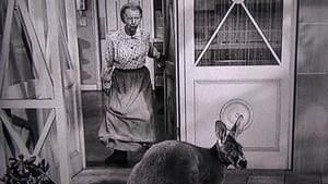 The Beverly Hillbillies Season 2 Ep.16 16. epizód