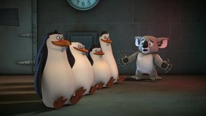 A Madagaszkár pingvinjei 3. évad Ep.14 14. epizód