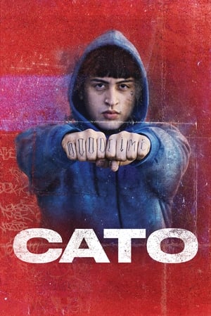 CATO