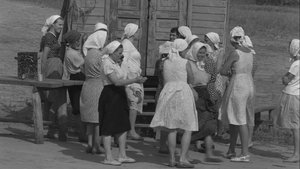 История Аси Клячиной, которая любила, да не вышла замуж háttérkép
