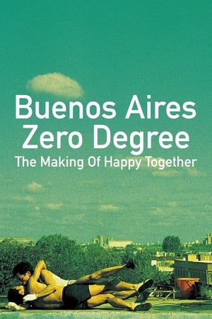 Buenos Aires Zero Degree poszter