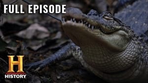 Cryptid: The Swamp Beast 1. évad Ep.5 5. epizód