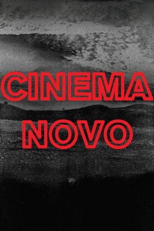 Cinema Novo poszter