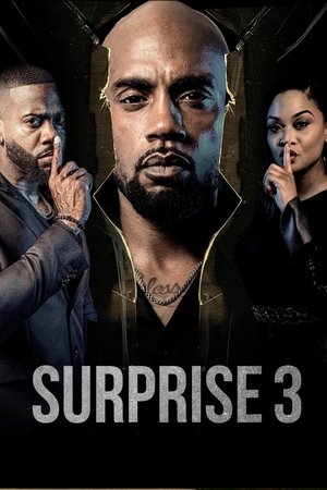Surprise 3 poszter