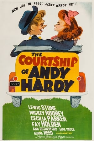 The Courtship of Andy Hardy poszter