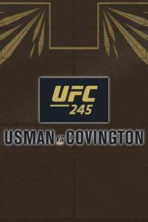 UFC 245: Usman vs. Covington Prelims poszter