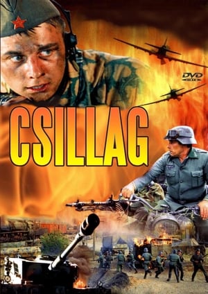 Csillag