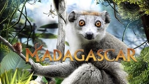 Madagascar 3D háttérkép