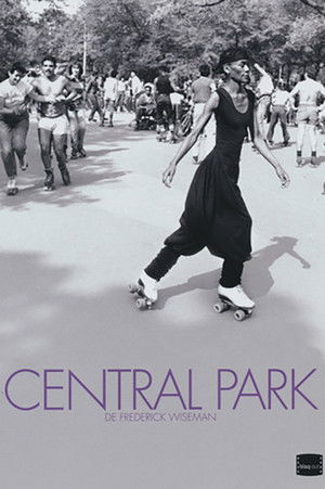 Central Park poszter