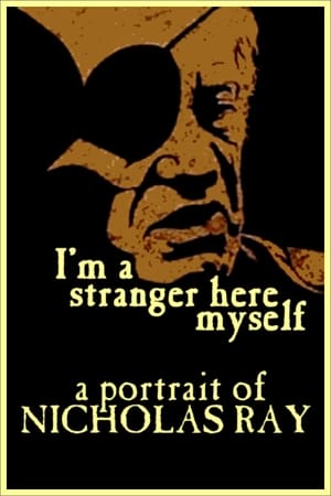 I'm a Stranger Here Myself