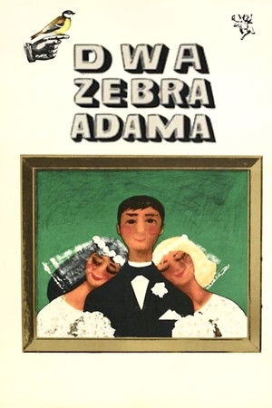 Dwa żebra Adama poszter