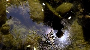 Reflejos del Cielo háttérkép