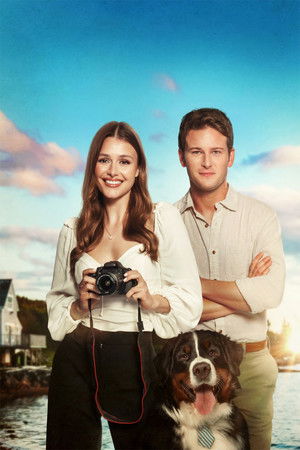 Picture Perfect Romance poszter