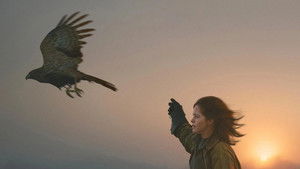 H Is for Hawk háttérkép