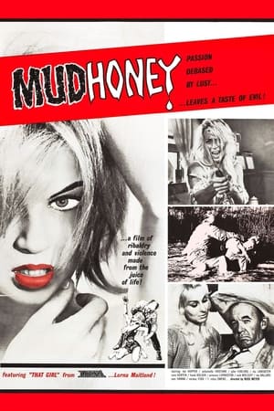 Mudhoney poszter