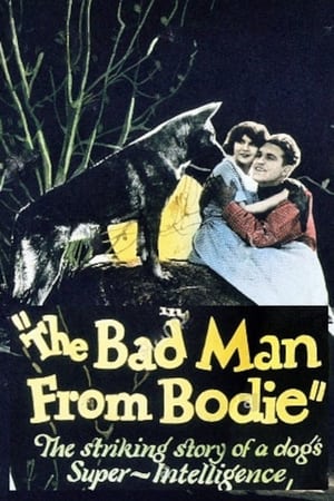 Bad Man from Bodie poszter