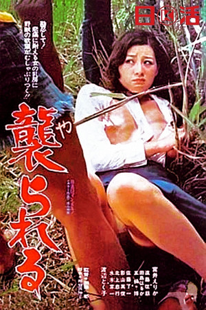 襲られる poszter