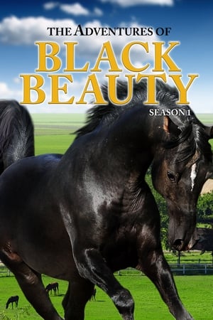 The Adventures of Black Beauty