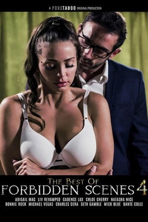 The Best of Forbidden Scenes 4 poszter