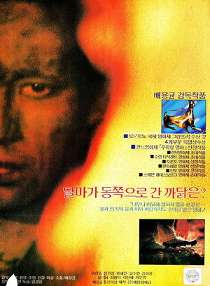 달마가 동쪽으로 간 까닭은? poszter