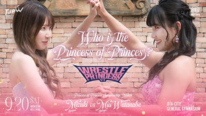 WRESTLE PRINCESS Ⅵ háttérkép