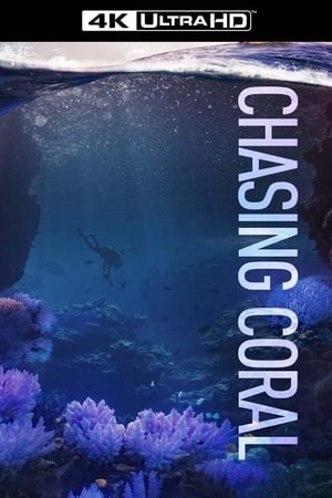 Chasing Coral poszter