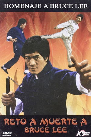 詠春與截拳 poszter