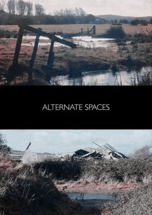 Alternate Spaces poszter