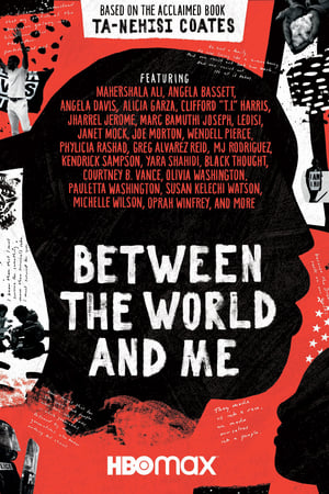 Between the World and Me poszter