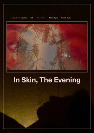 In Skin, The Evening poszter