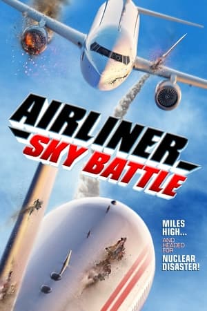 Airliner Sky Battle poszter