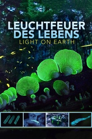 Attenborough's Life That Glows poszter