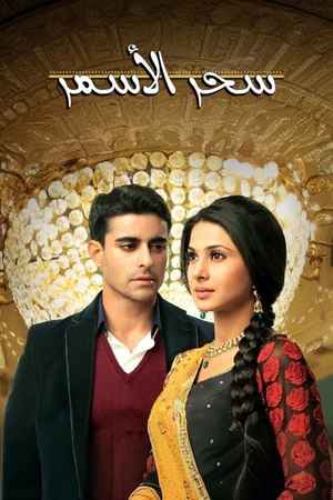 Saraswatichandra poszter