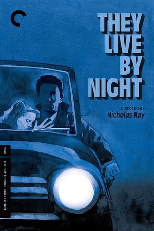 They Live by Night poszter