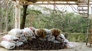 تدور háttérkép