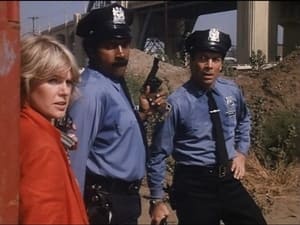 Cagney & Lacey 4. évad Ep.2 2. epizód