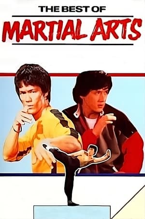 The Best of the Martial Arts Films poszter