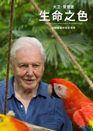 David Attenborough: Az élet színei poszter