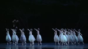 The ROH Live: Swan Lake háttérkép