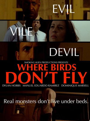 Where Birds Don't Fly poszter