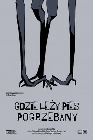 Gdzie leży pies pogrzebany