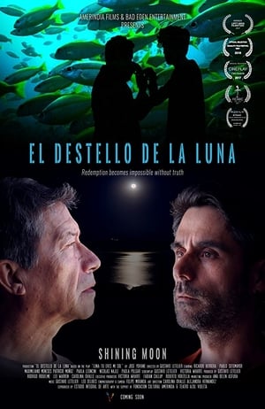 El destello de la luna poszter