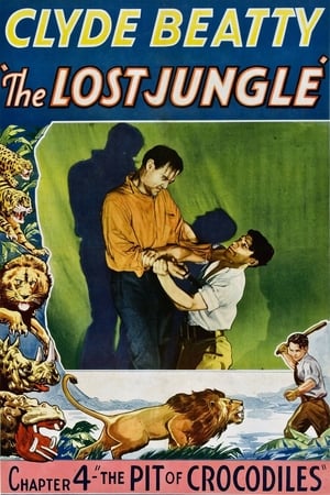 The Lost Jungle poszter