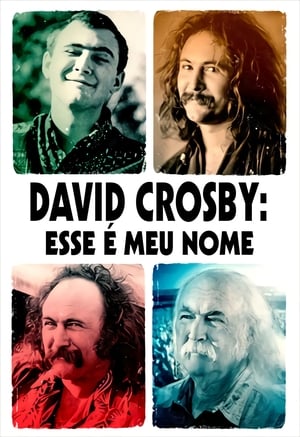 David Crosby: Remember My Name poszter